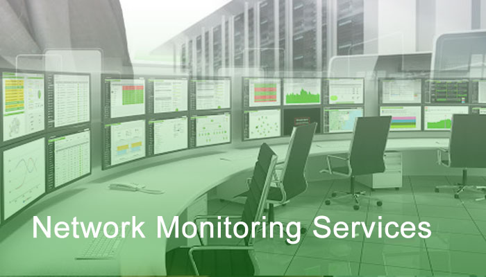 Network Monitoring Services