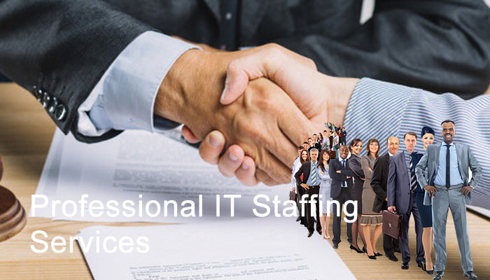 Professional IT Staffing Services